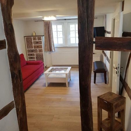 Zauberhafte Wohnung In Der Naehe Von Heidelberg, Top Lage Hirschhorn Esterno foto