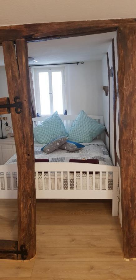 Zauberhafte Wohnung In Der Naehe Von Heidelberg, Top Lage Hirschhorn Esterno foto
