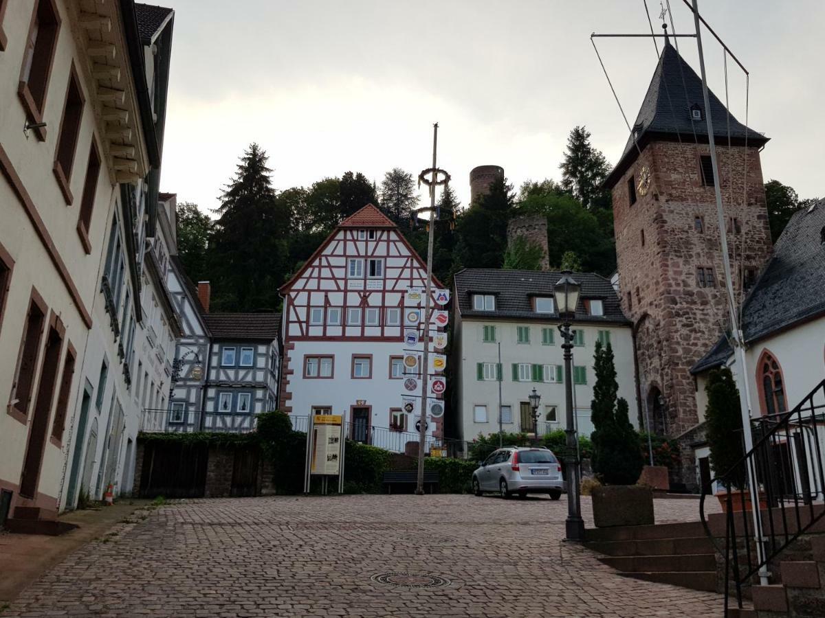 Zauberhafte Wohnung In Der Naehe Von Heidelberg, Top Lage Hirschhorn Esterno foto