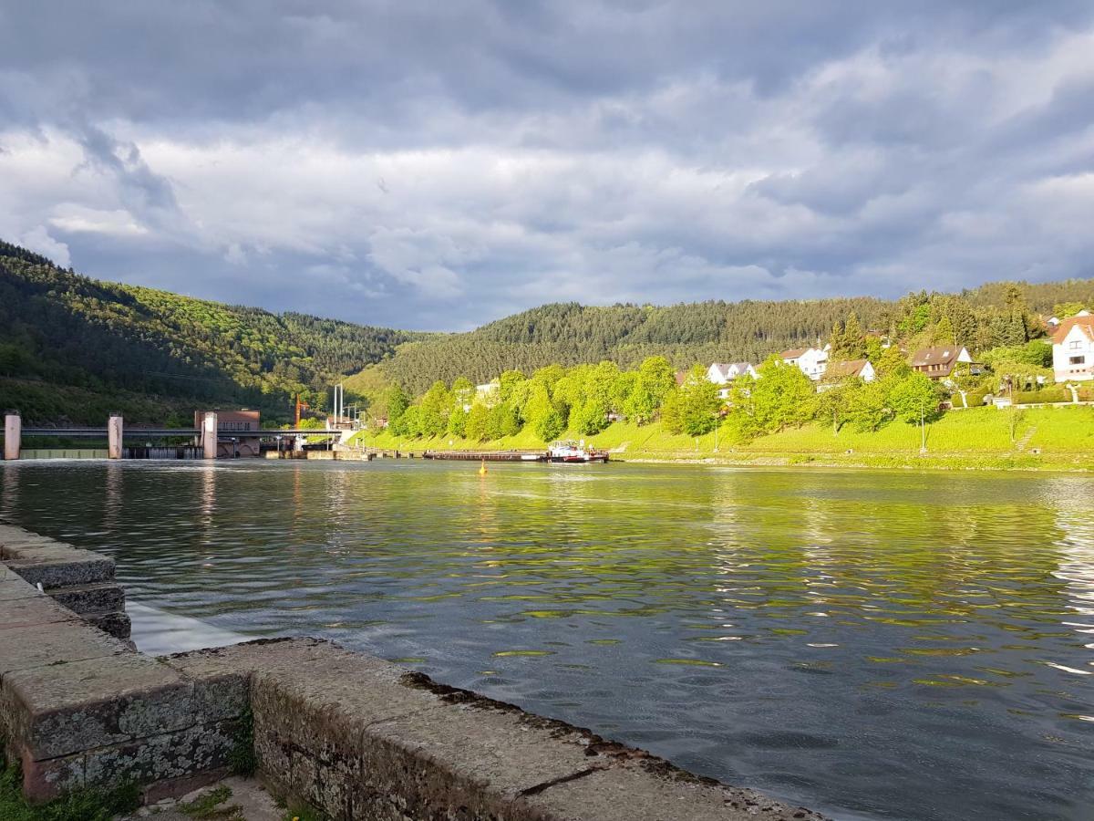 Zauberhafte Wohnung In Der Naehe Von Heidelberg, Top Lage Hirschhorn Esterno foto