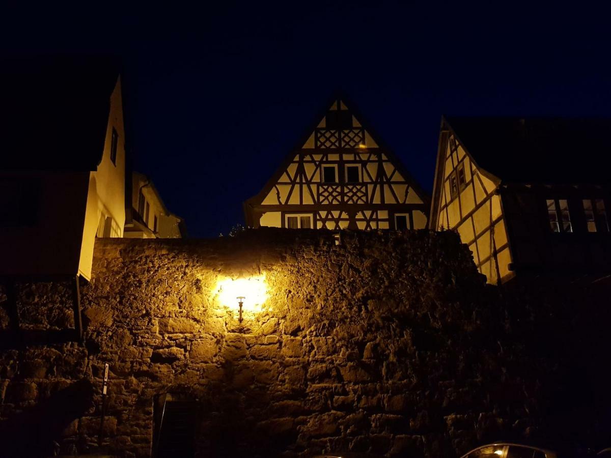 Zauberhafte Wohnung In Der Naehe Von Heidelberg, Top Lage Hirschhorn Esterno foto