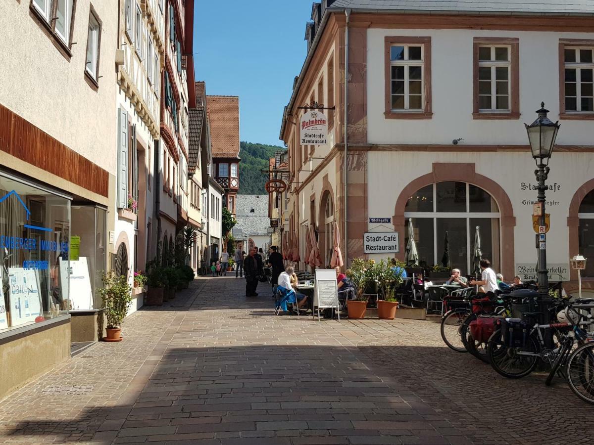 Zauberhafte Wohnung In Der Naehe Von Heidelberg, Top Lage Hirschhorn Esterno foto