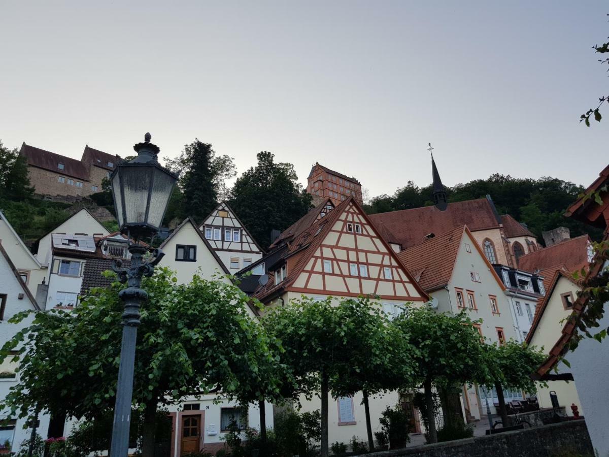 Zauberhafte Wohnung In Der Naehe Von Heidelberg, Top Lage Hirschhorn Esterno foto