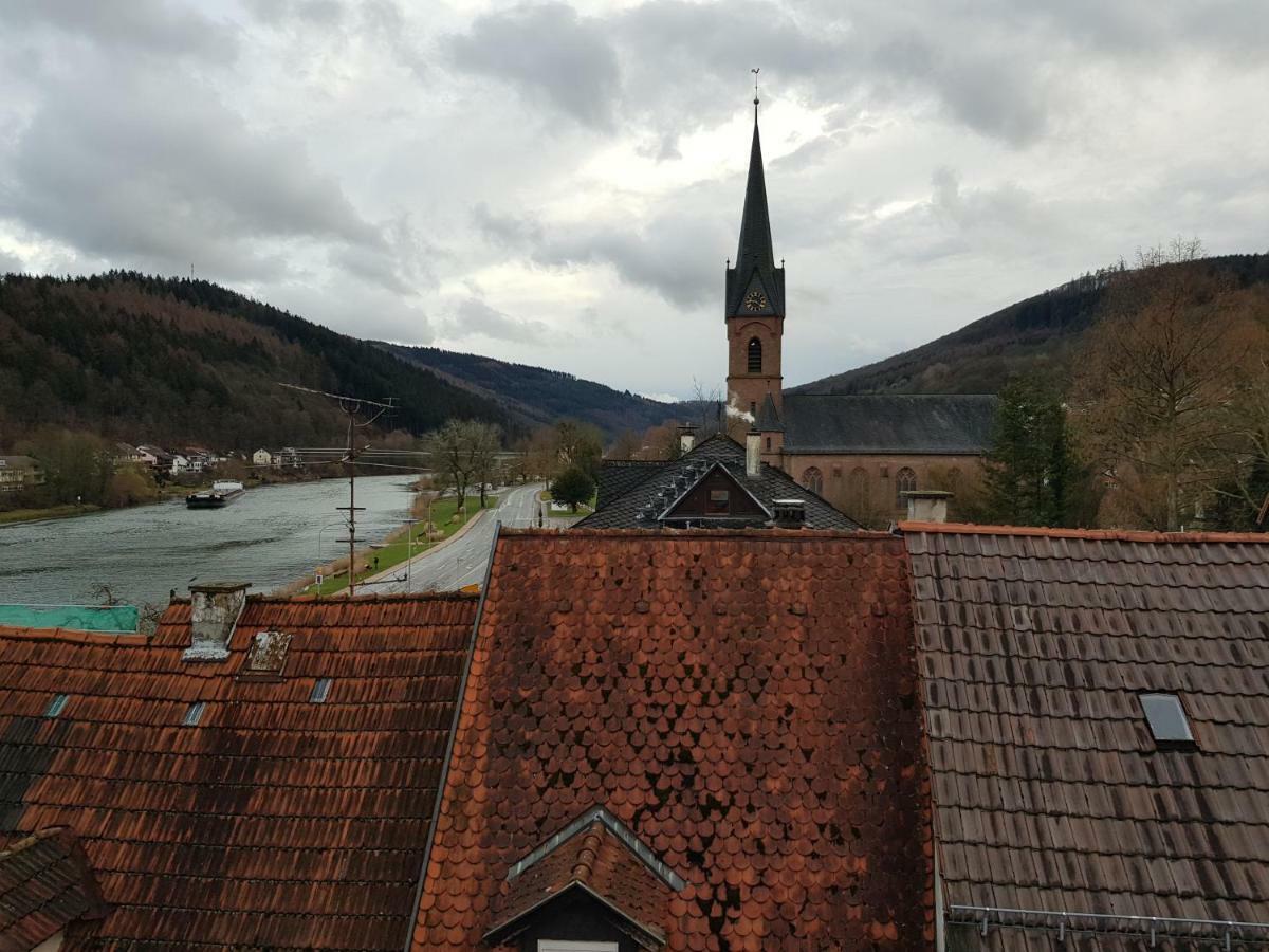 Zauberhafte Wohnung In Der Naehe Von Heidelberg, Top Lage Hirschhorn Esterno foto