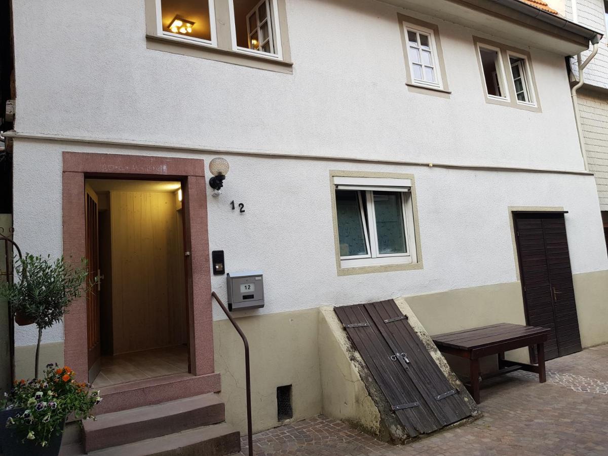 Zauberhafte Wohnung In Der Naehe Von Heidelberg, Top Lage Hirschhorn Esterno foto