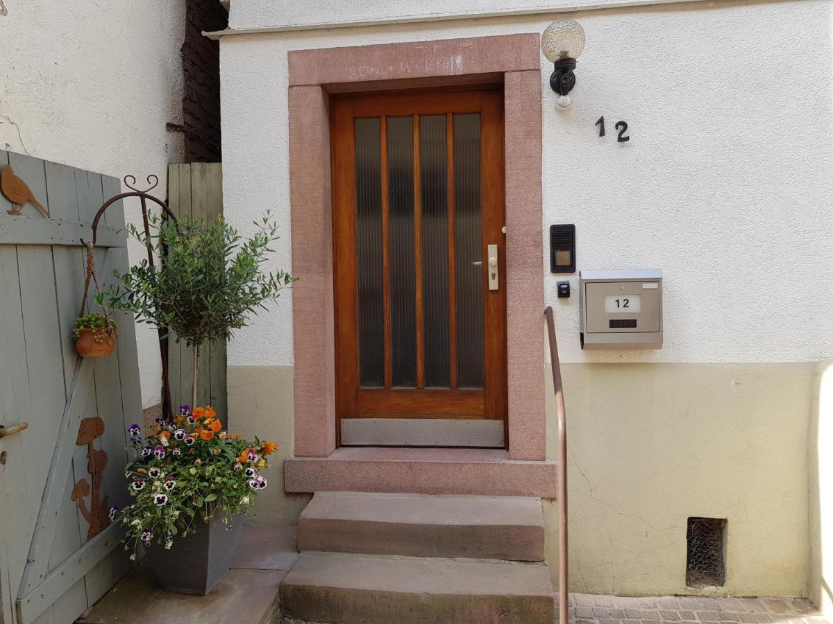Zauberhafte Wohnung In Der Naehe Von Heidelberg, Top Lage Hirschhorn Esterno foto